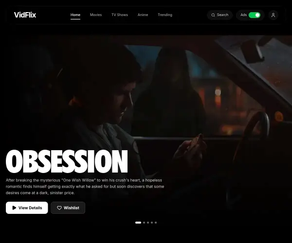 Screenshot of VidFlix